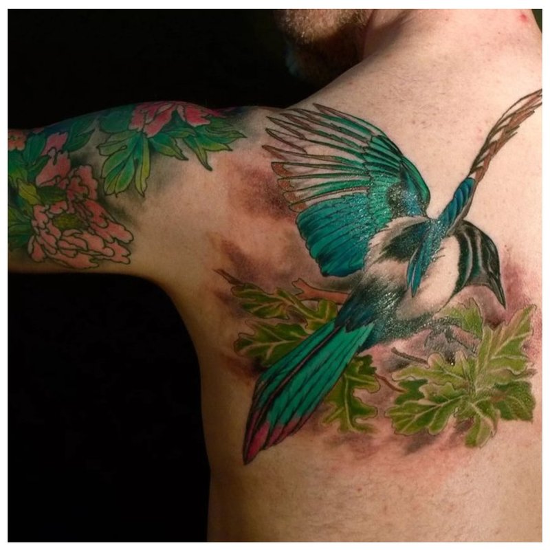 Bright bird on the shoulder blade