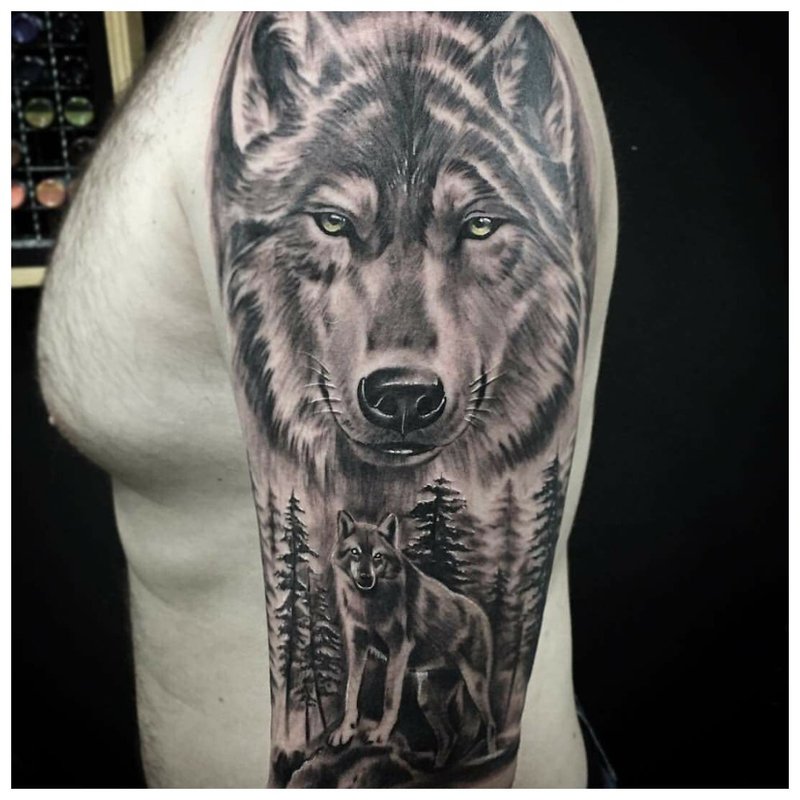 Realistic wolf - tattoo on the shoulder