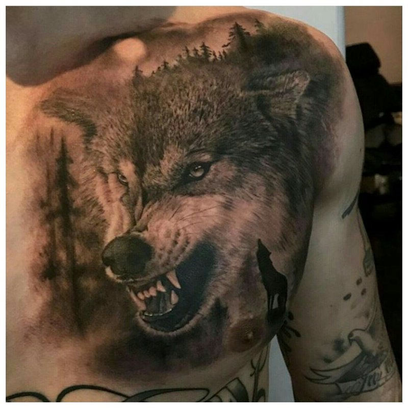 The Wolf is Rocking - Tattoo on the Male Chest