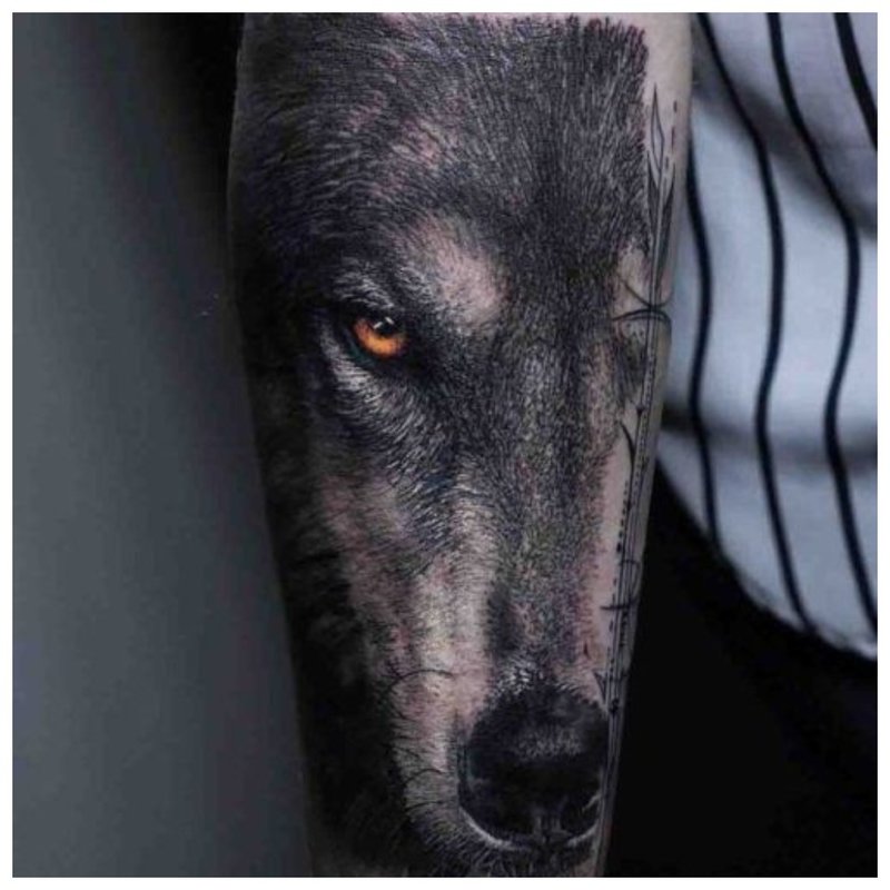 Wolf look - male tattoo