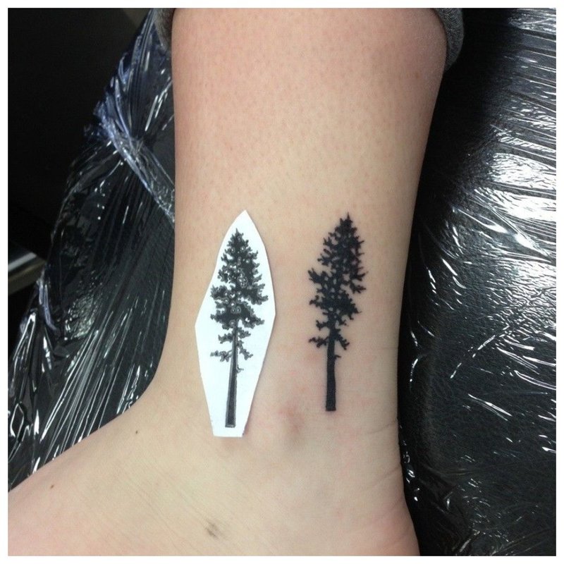 Tree Tattoo