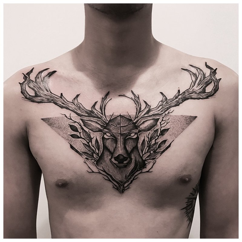 Animal tattoo on a man’s chest