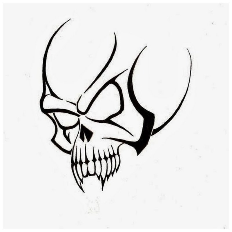 Skull - sketch for tattoo