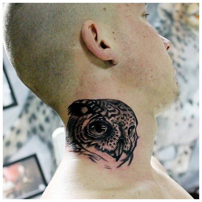 Owl tattoo on the neck of a man