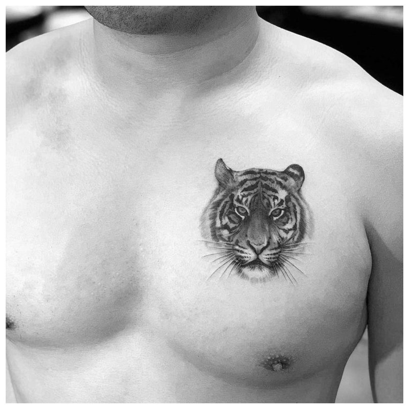 Animal tattoo on the chest of a man