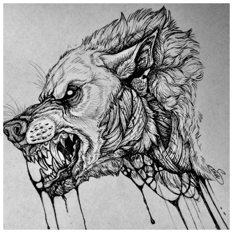 Predatory beast - tattoo sketch